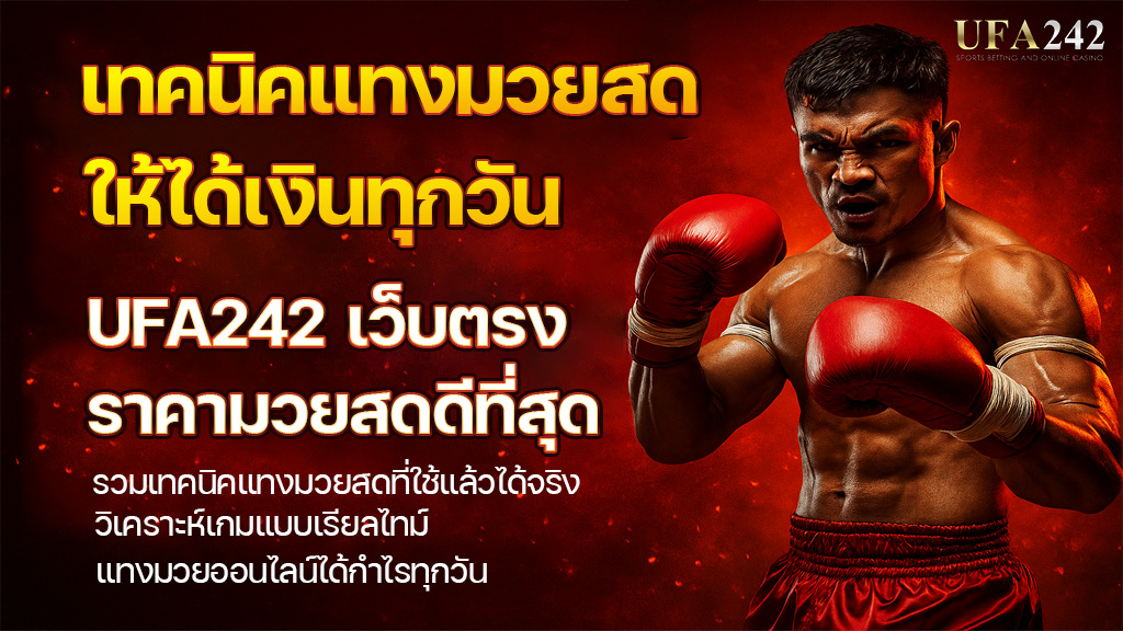 เทคนิคแทงมวยสดให้ได้เงินทุกวัน แทงมวยออนไลน์ UFA242 เว็บตรง ราคามวยสดดีที่สุด UFABET
